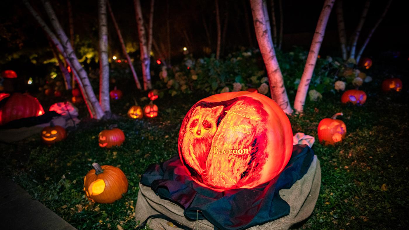 Monstrous Vibes Meet Crisp Fall Evenings at Night of 1,000 Jack-o